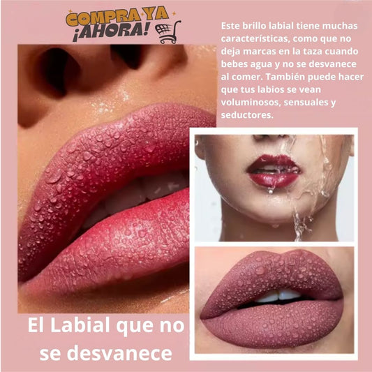 KIT SENSUAL_LIPS 💄💋🪞